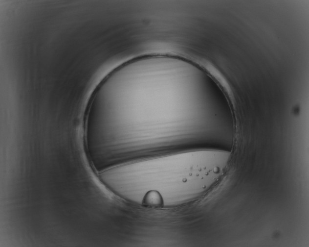 X0000101970951200807180723