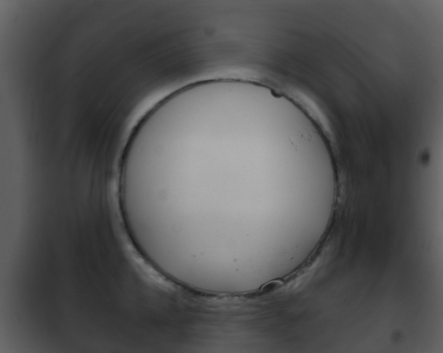 X0000101970952200807180723