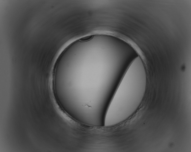 X0000101970955200807180723