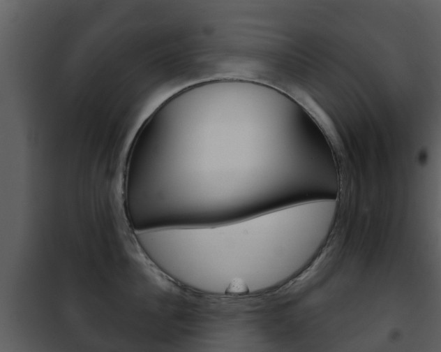 X0000101970956200807180723