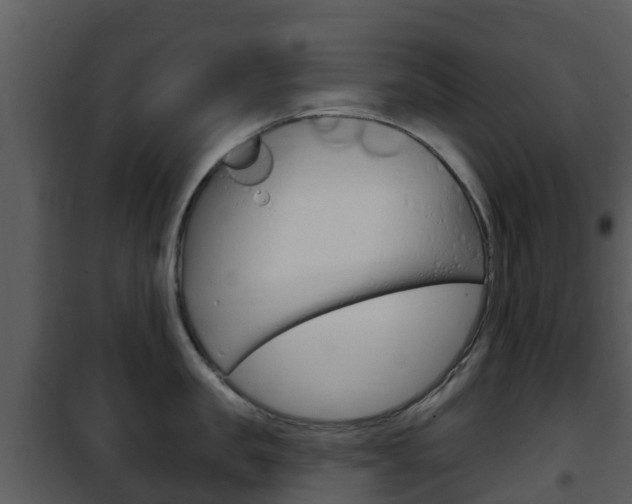 X0000101970957200807180723