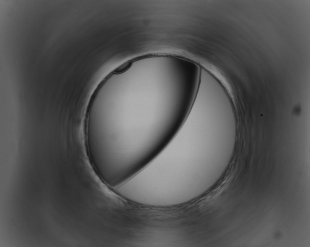 X0000101970959200807180723