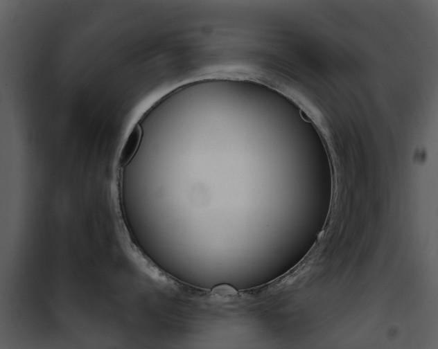 X0000101970960200807180723