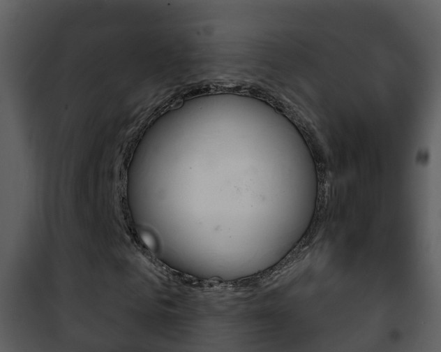X0000101970961200807180723