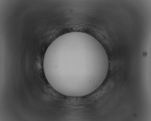 X0000101970962200807180723