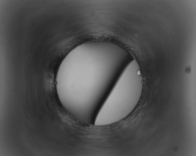 X0000101970963200807180723