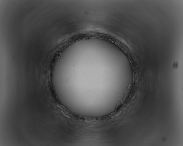 X0000101970965200807180723