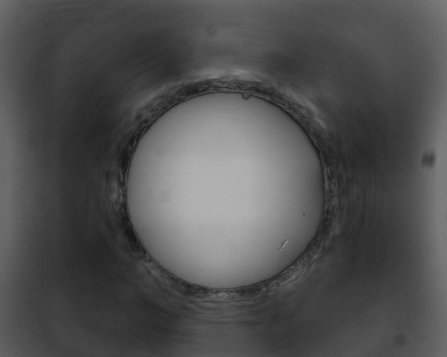 X0000101970966200807180723