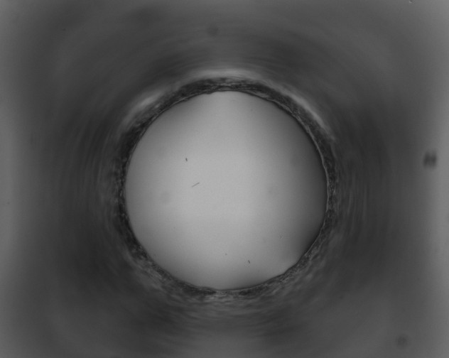 X0000101970967200807180723