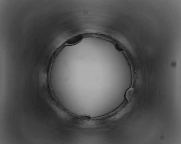 X0000101970969200807180722
