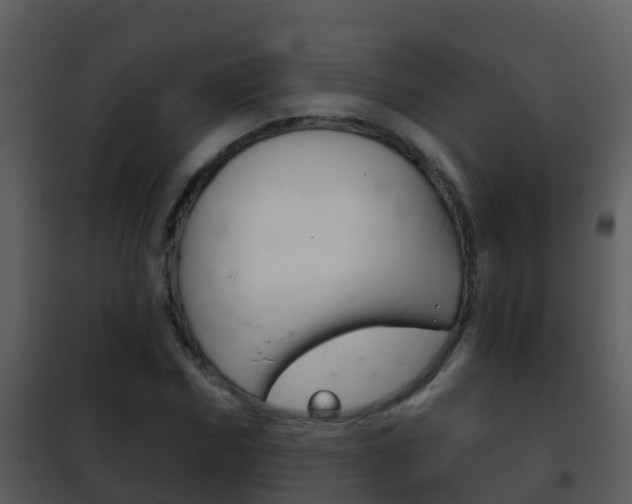 X0000101970970200807180722