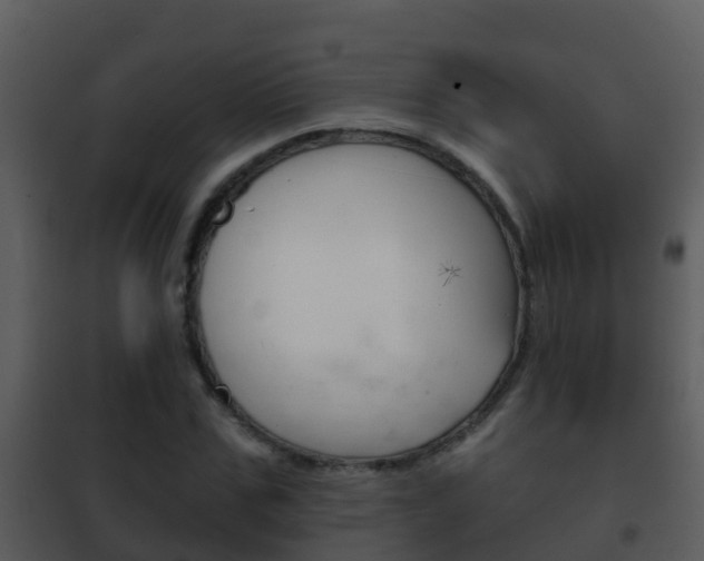 X0000101970971200807180722