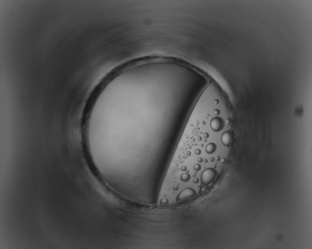 X0000101970972200807180722