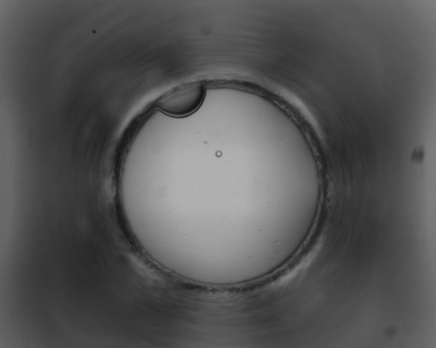 X0000101970973200807180722