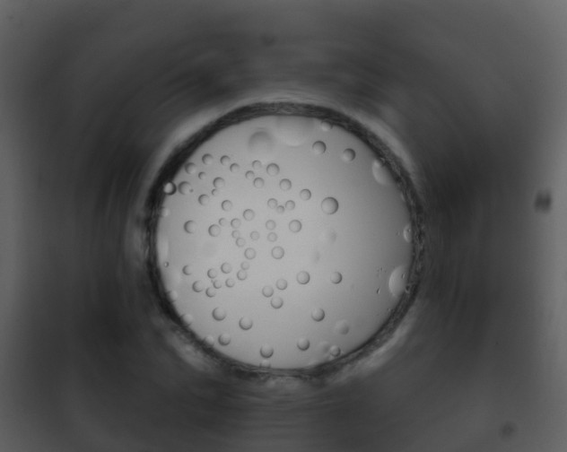 X0000101970974200807180722