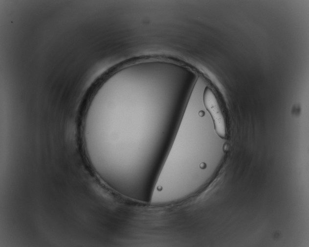 X0000101970975200807180722
