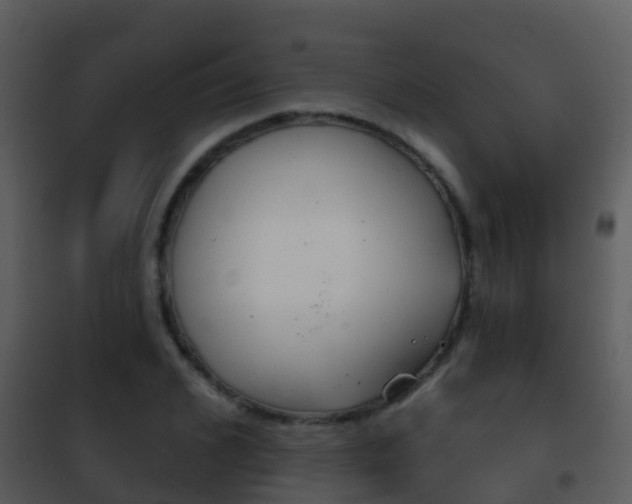 X0000101970976200807180722