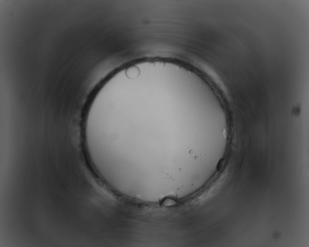 X0000101970978200807180722