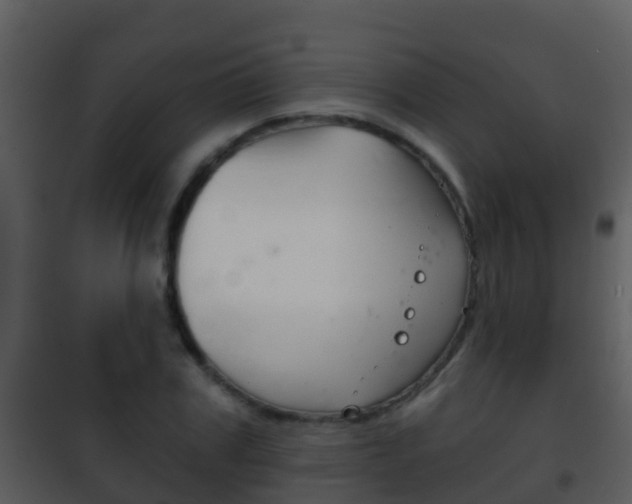 X0000101970979200807180722