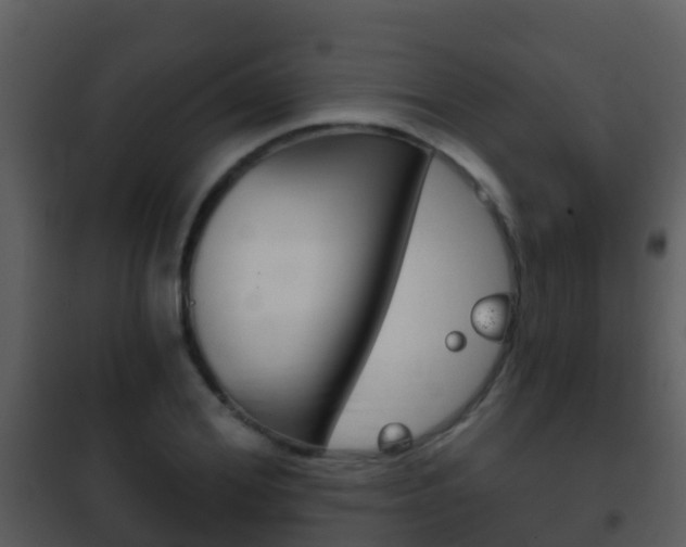X0000101970980200807180722