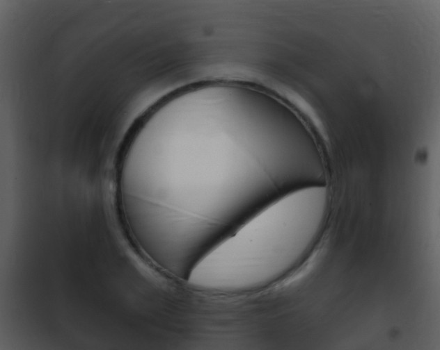 X0000101970981200807180722