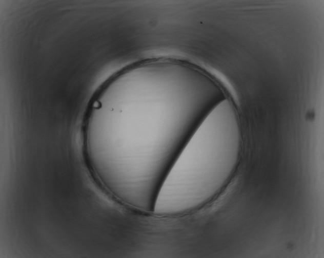 X0000101970983200807180722