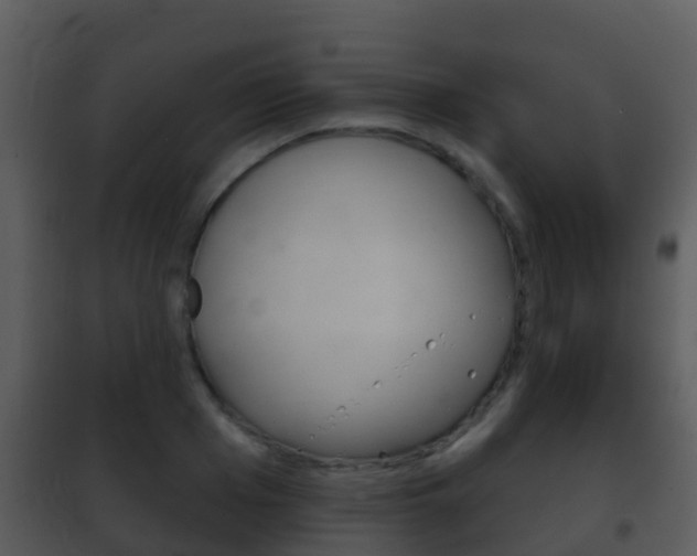 X0000101970985200807180722