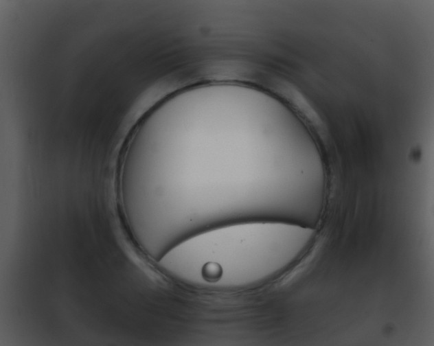 X0000101970986200807180722