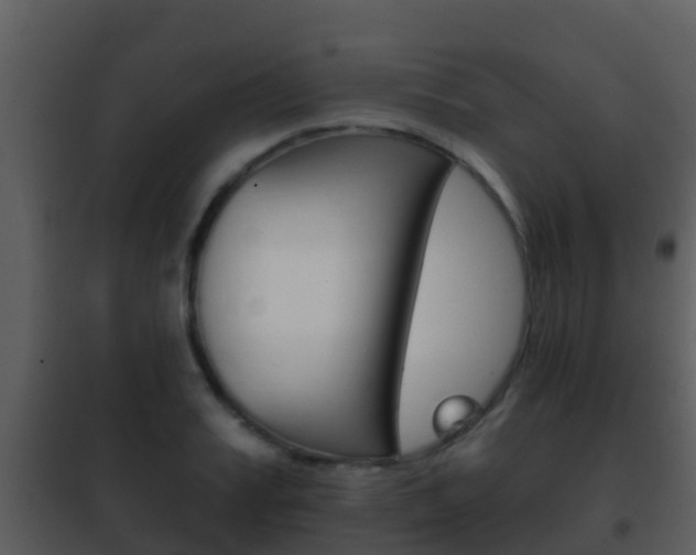X0000101970987200807180722