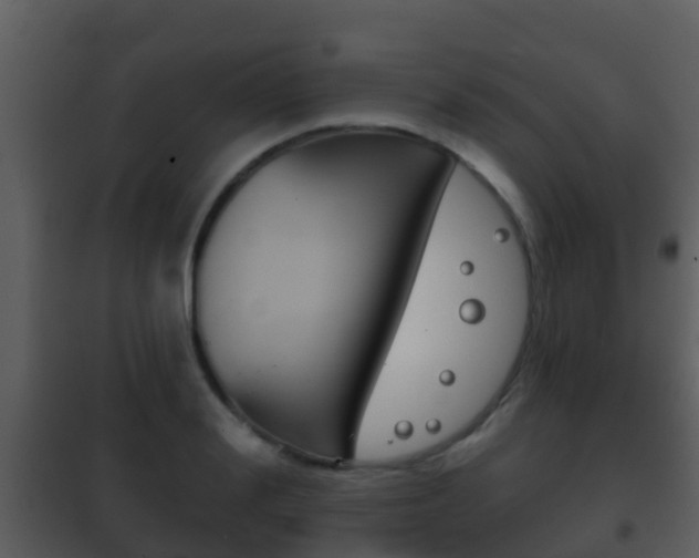 X0000101970988200807180722