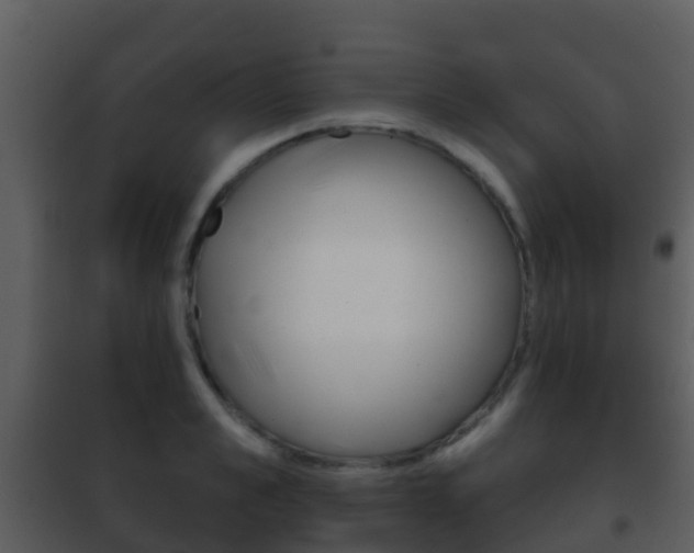 X0000101970989200807180722