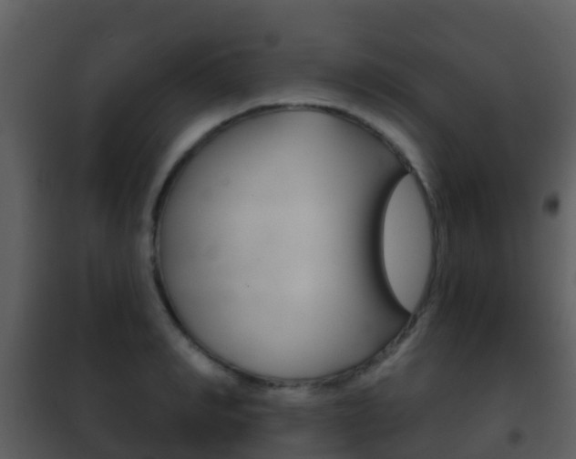 X0000101970990200807180722