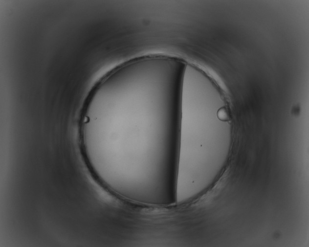 X0000101970991200807180722