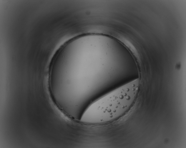 X0000101970992200807180722