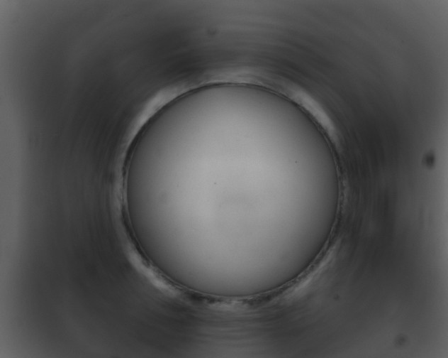 X0000101970994200807180722
