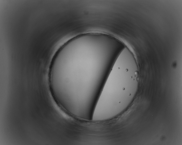X0000101970995200807180722