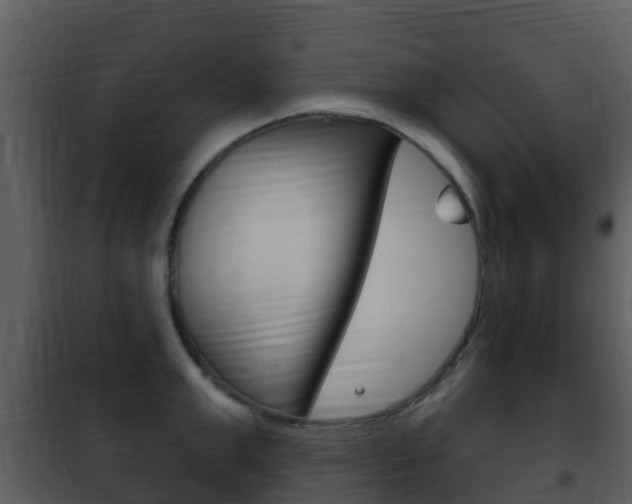 X0000101970999200807180722