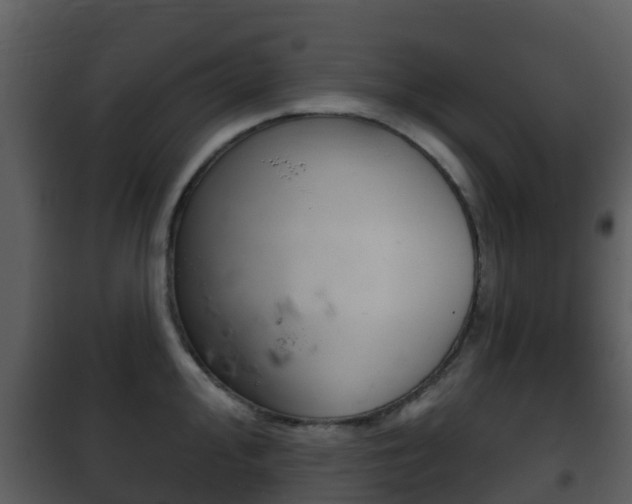 X0000101971000200807180722