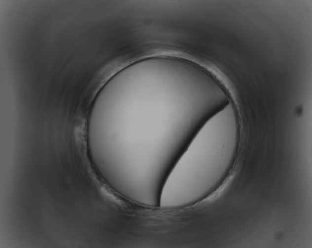 X0000101971001200807180722