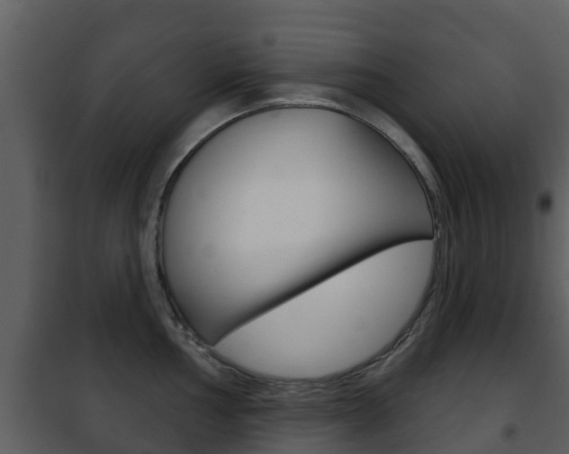 X0000101971002200807180722
