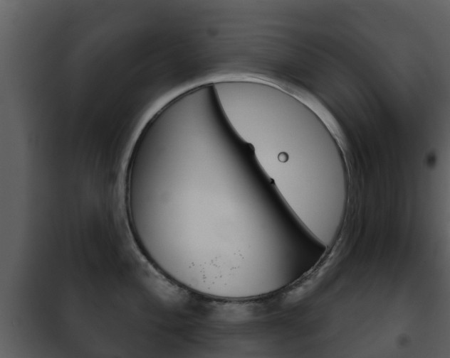 X0000101971004200807180722
