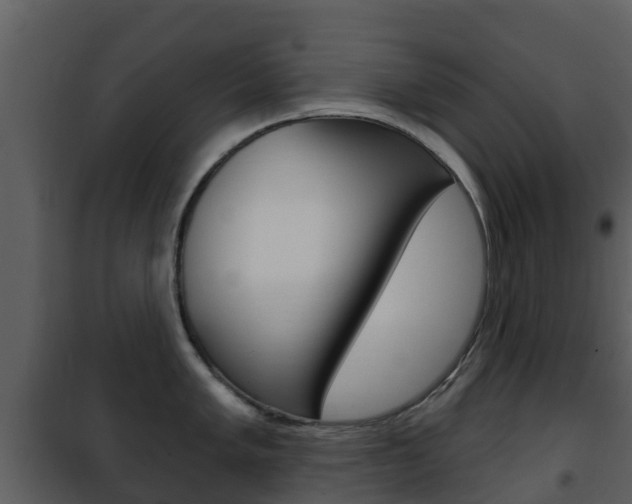 X0000101971005200807180722