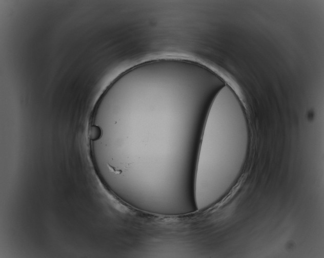 X0000101971006200807180722