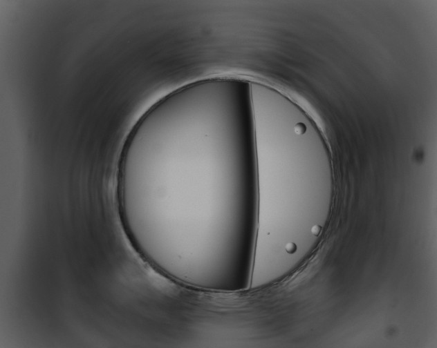 X0000101971007200807180722