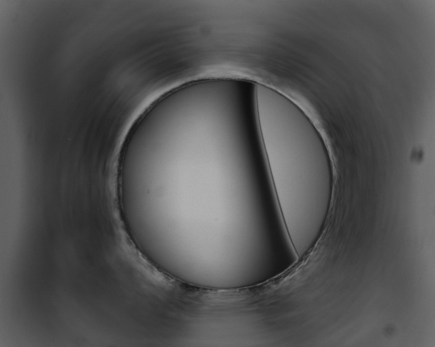X0000101971008200807180722