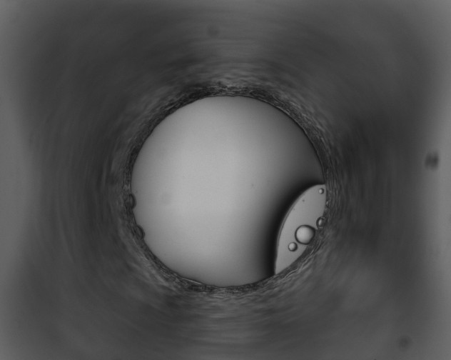 X0000101971009200807180721