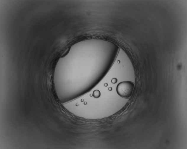 X0000101971010200807180721