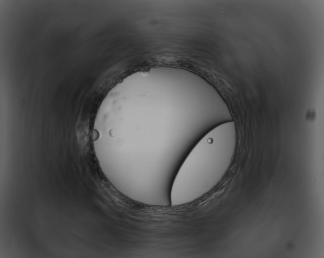 X0000101971011200807180721