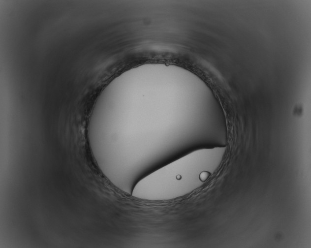 X0000101971013200807180721