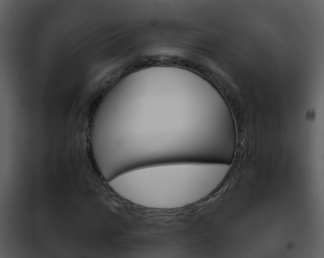 X0000101971014200807180721